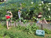 Schülerinnen des Gymnasiums Hofwil im Stiftsgarten