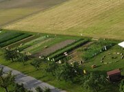 Ein Drittel des Weltackers wird dieses Jahr mit Pferden gepflügt.